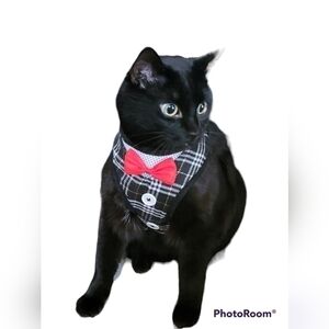 **3/$25**elegant Cat Dog Harness Vest with Leash Bow Tie Tuxedo Style Adjustable